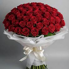 Букет 101 Красная роза Блэк Мэджик #REPLACE_PRED# Обидимо