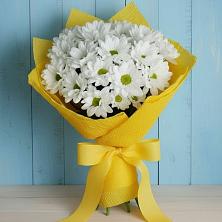 Букет цветов из:  Хризантемы в Обидимо