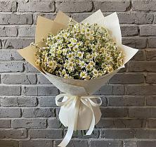 Букет цветов из:  Ромашки в Обидимо