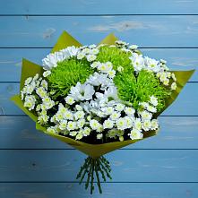 Букет цветов из:  Хризантемы #REPLACE_PRED# Обидимо