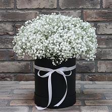 Цветочная композиция из Гипсофила в шляпной коробке в Обидимо