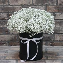 Цветочная композиция из Гипсофила в шляпной коробке в Обидимо