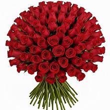 Букет Красные розы Чери Лав #REPLACE_PRED# Обидимо